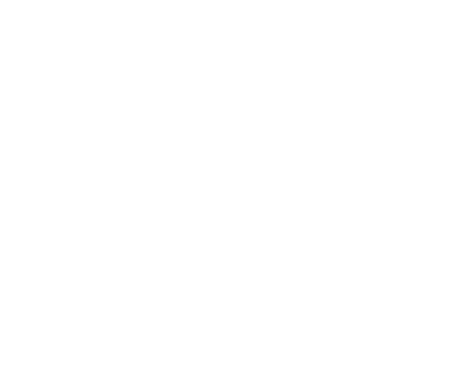 Black Birds Paris - Logo Blanc