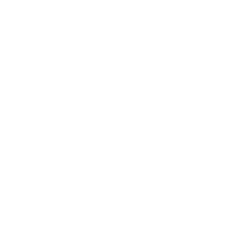 Téléphone icône blanc
