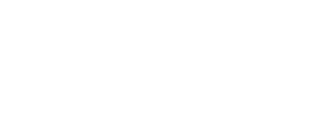 Dior Logo - Partenaire Black Birds Paris